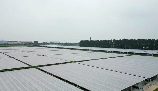 用户画像在传播服务中的两种使用方式对比